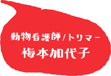 動物看護師/トリマー 梅本加代子